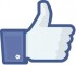 Facebook_like_small